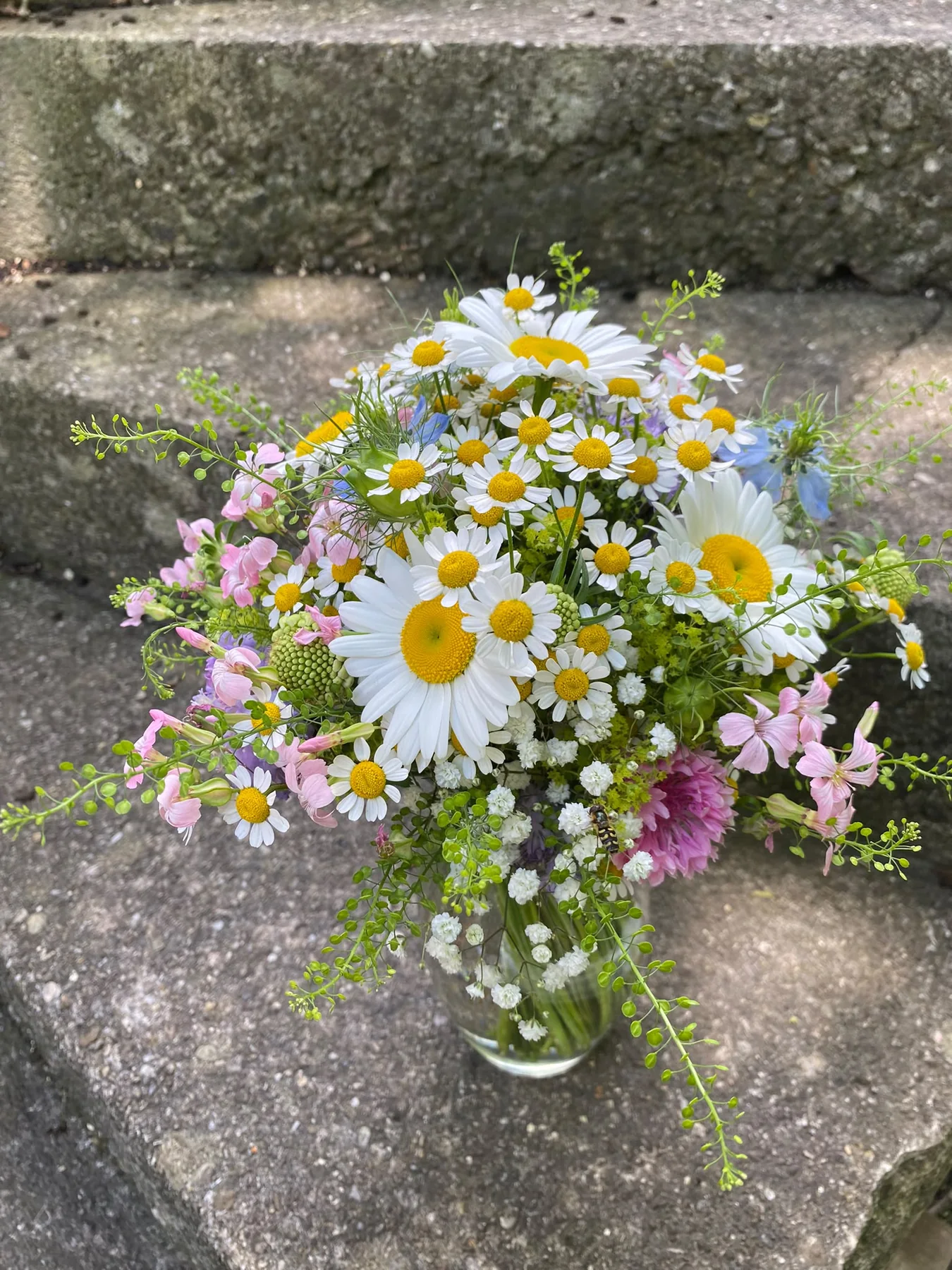 Natürlicher Wiesenstrauß mit weißen, gelben und violetten Blüten